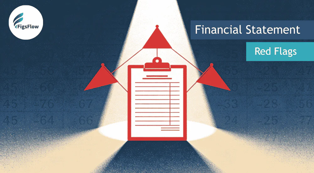 Red Flags in Financial Statements Spotting Money Laundering Risks in the USA